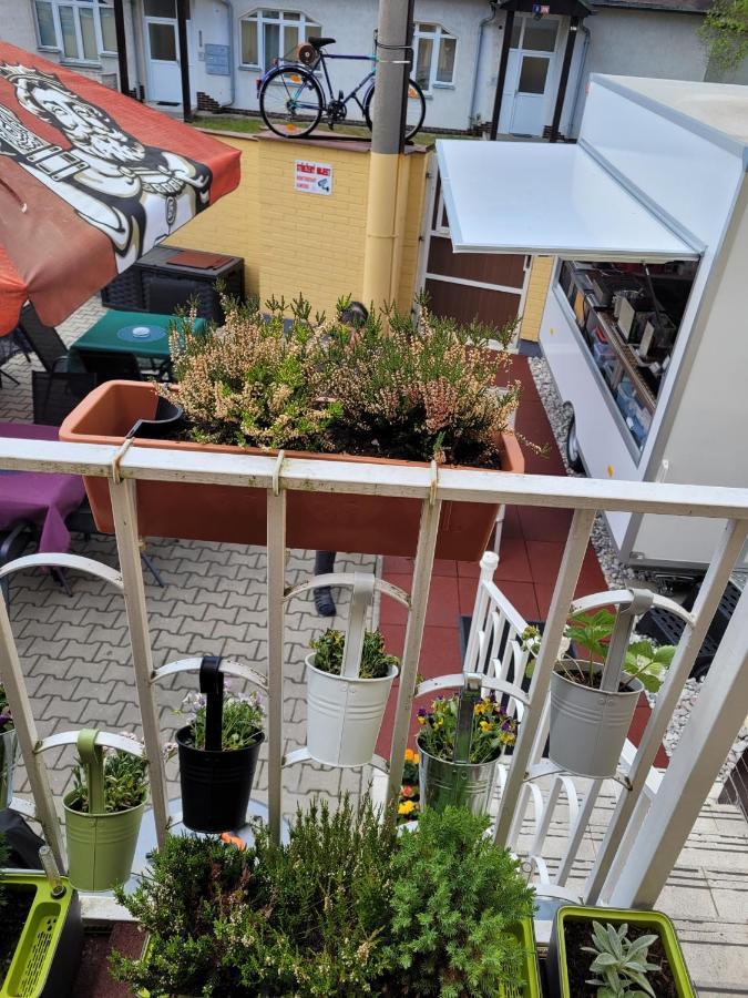 Pension Relax U Komina Františkovy Lázně Buitenkant foto